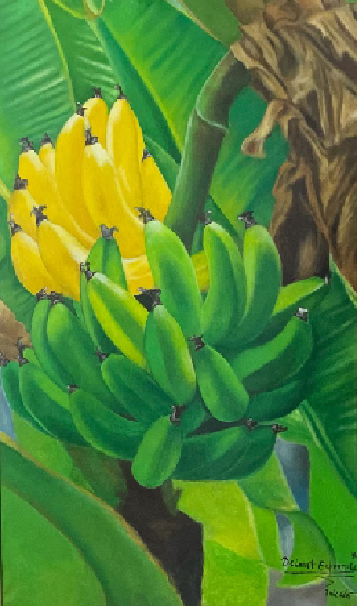 Esperanta Delmat 40"x24" Plantains Tree 2001 Acrylique sur toile #2HL